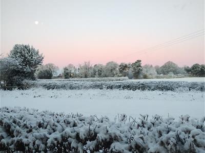 Picture 43
